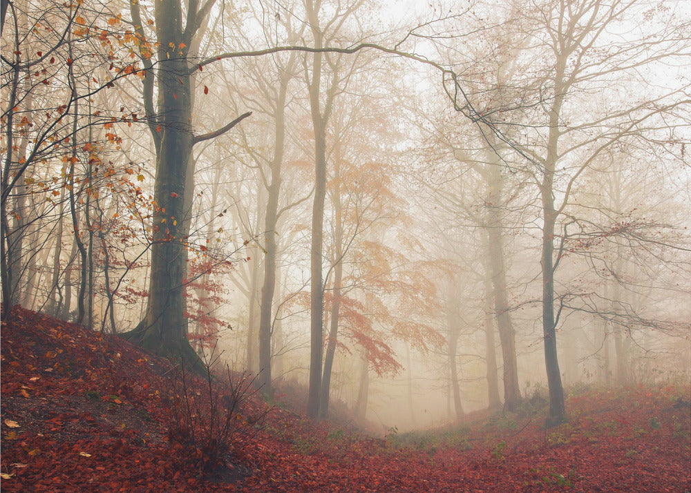 Waiting for the deer. | Canvas