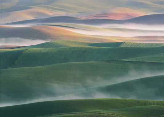 Foggy Morning | Poster