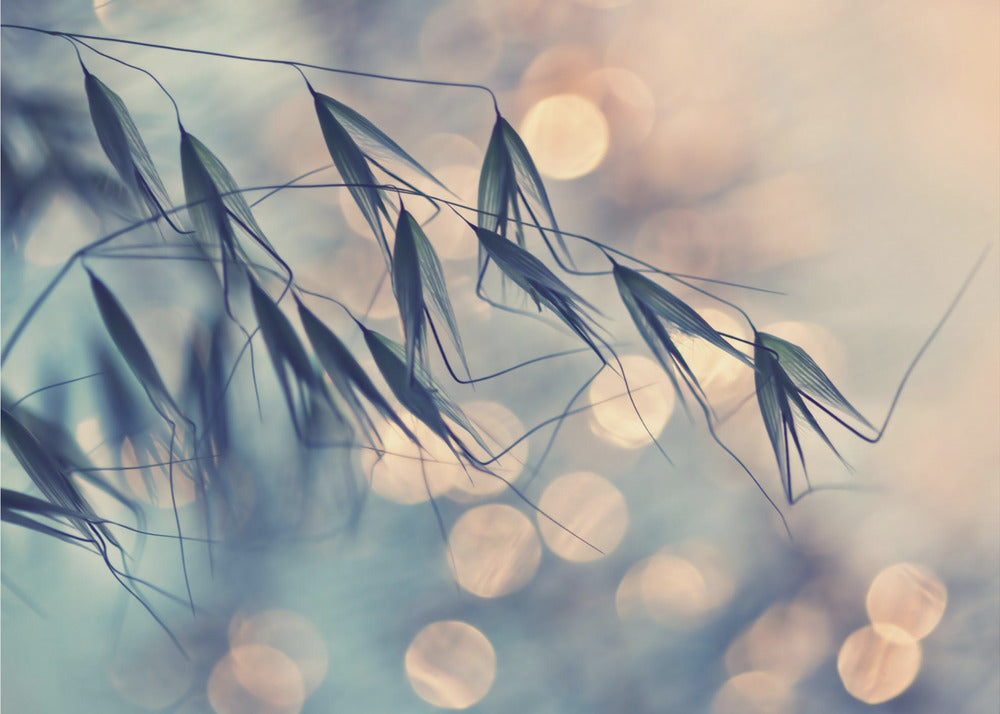 ...&lt;&lt;&lt; | Wallpaper