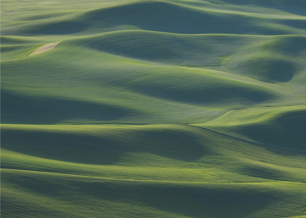 The Earth's Fine Skin | Wallpaper