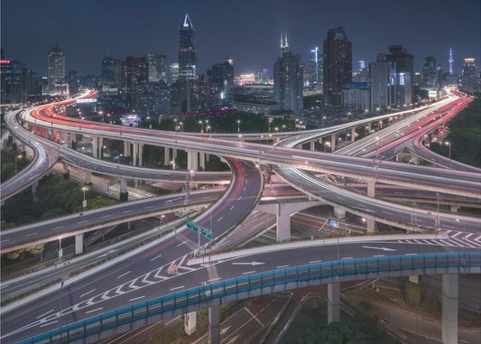 Nine Dragons | Canvas