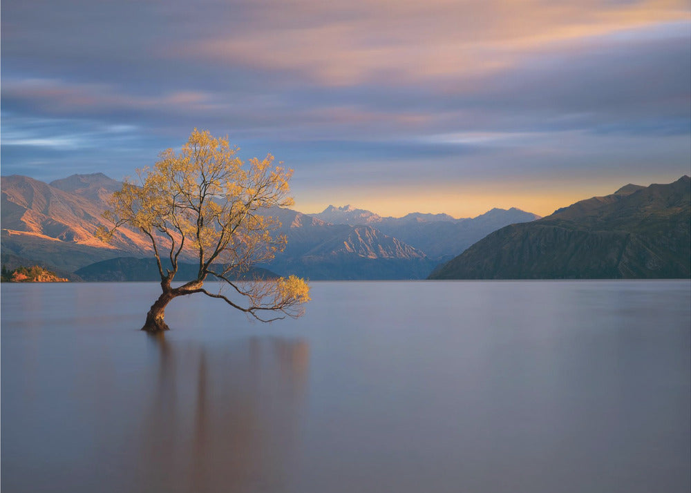 Morning Glow | Poster