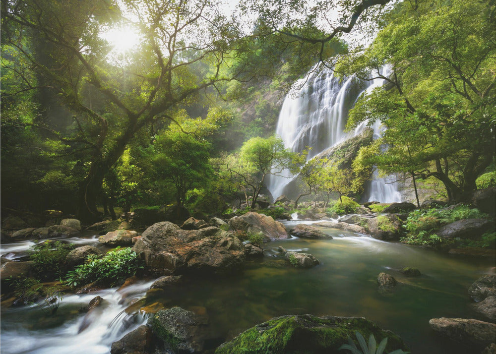 Mountain stream | Canvas