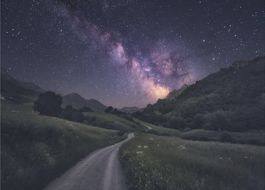 Path to the Stars | Canvas