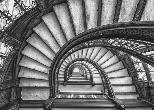 The Rookery | Poster