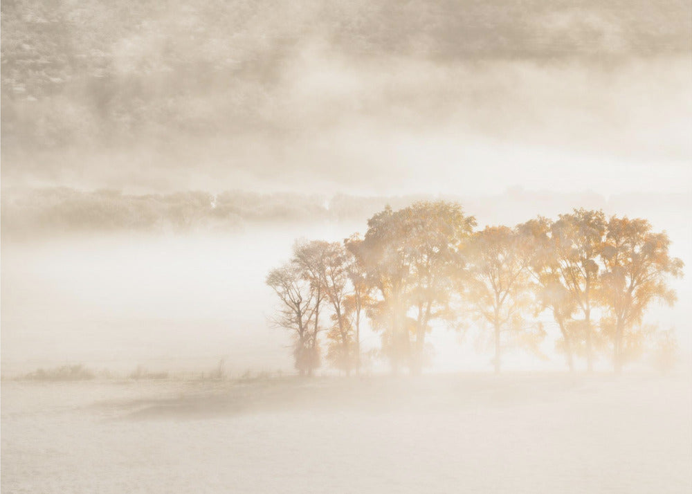 Autumn Dreams | Canvas