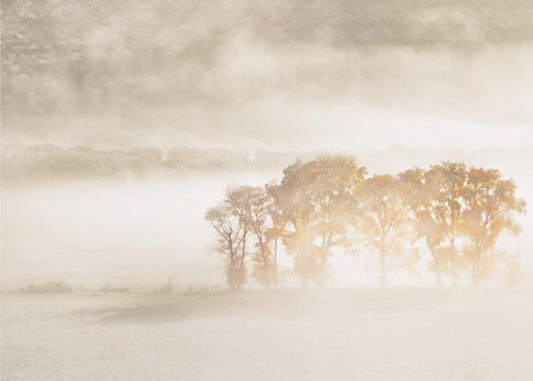 Autumn Dreams | Canvas