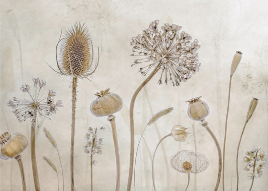 Growing old | Canvas