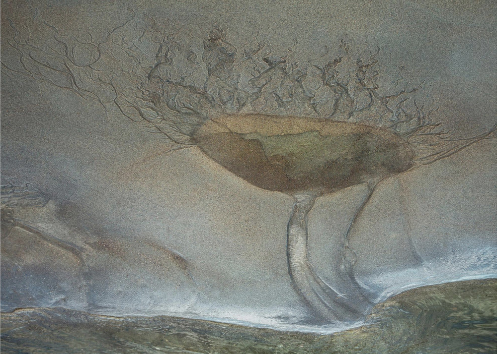 Sand flower | Canvas