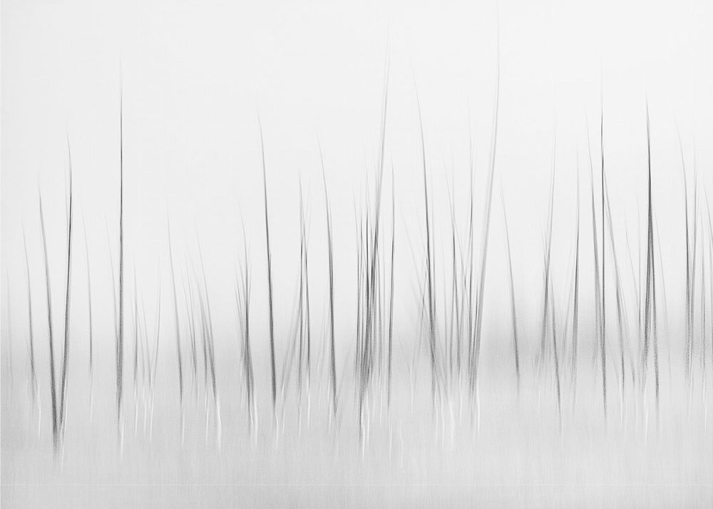 Wintry scenery in Yellowstone | Poster