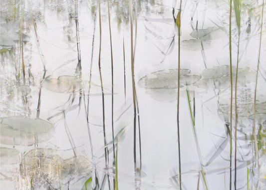 Lily leaves | Canvas