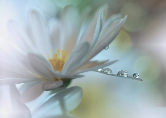 Light touch... | Canvas