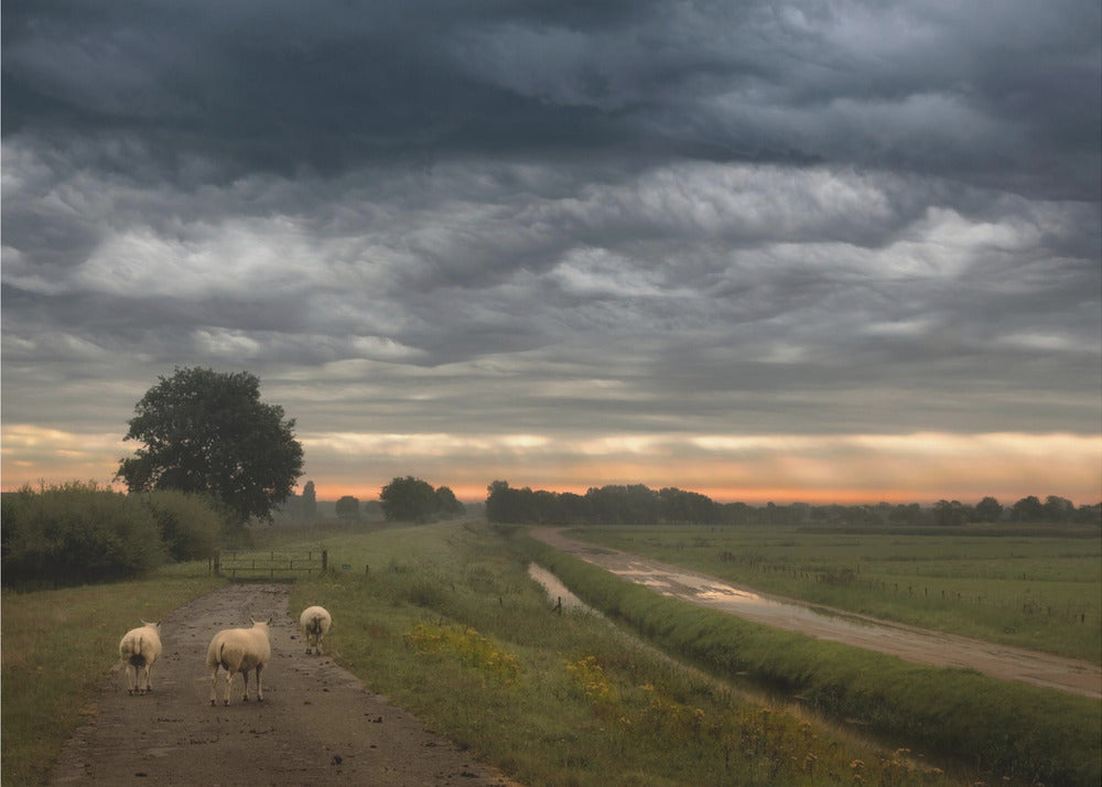 Waving clouds | Poster