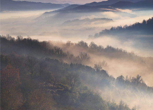 These Magic Moments | Wallpaper