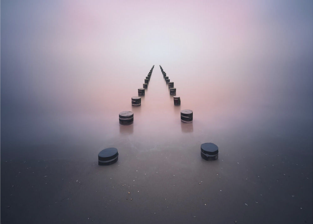 Alone in the silence | Canvas
