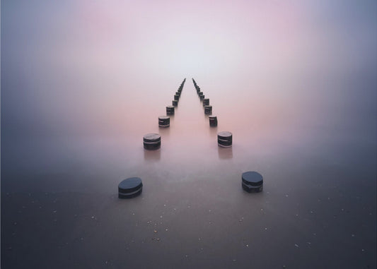 Alone in the silence | Canvas