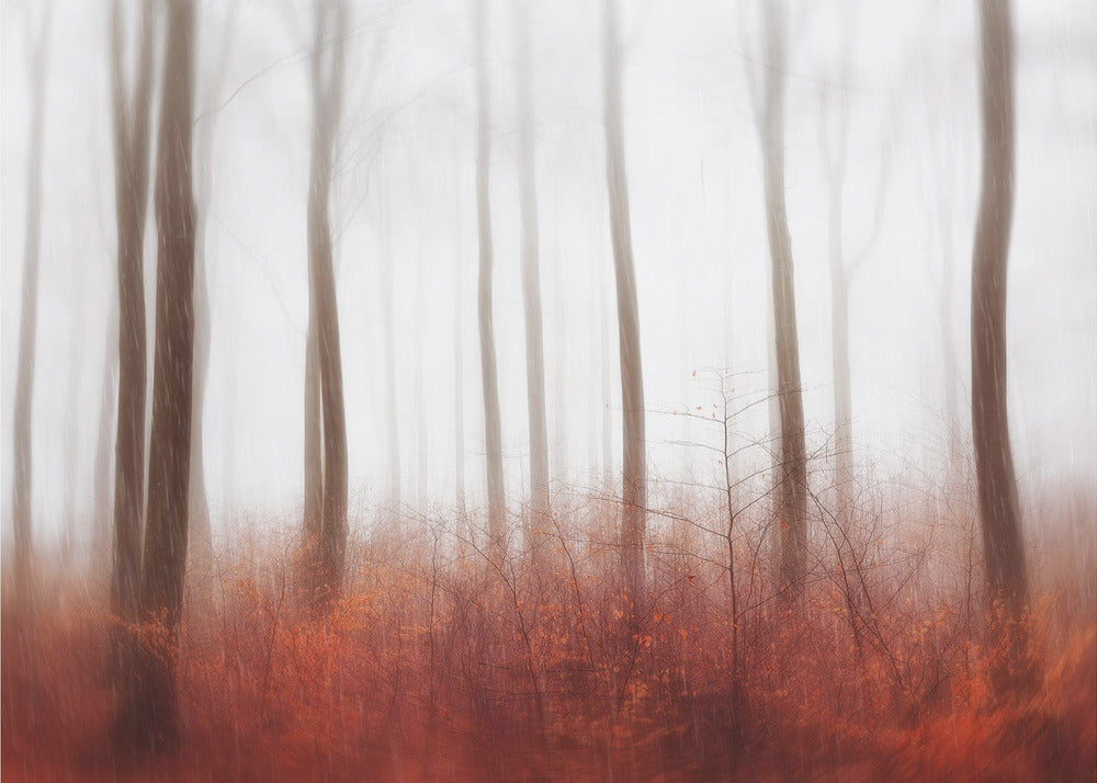 Endless Woods | Poster