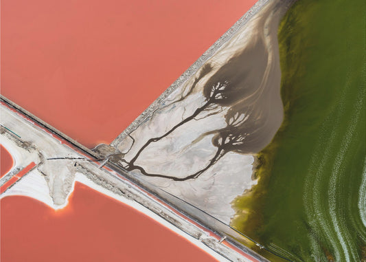 Nature's painting | Poster