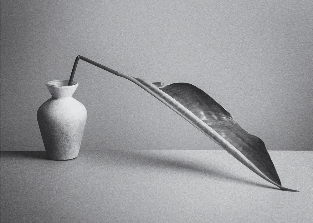 The Leaf | Wallpaper