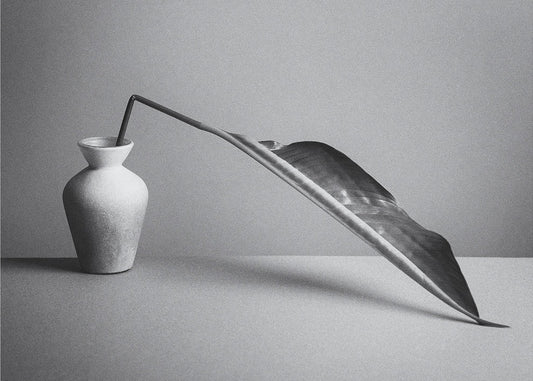 The Leaf | Wallpaper