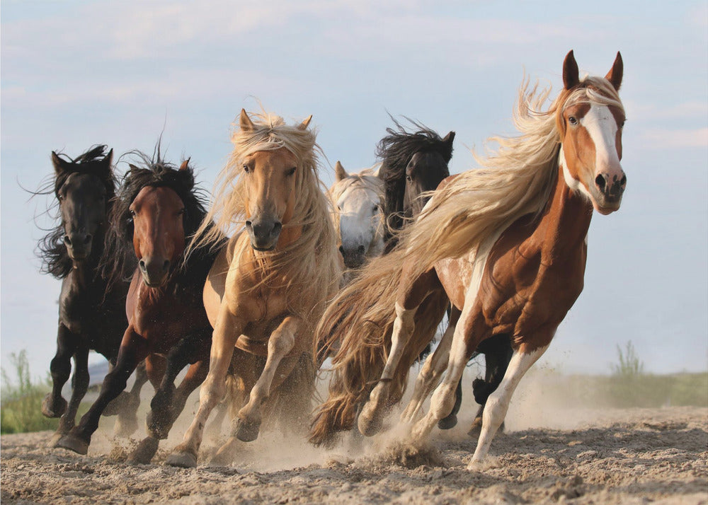 Lucky Six | Wallpaper