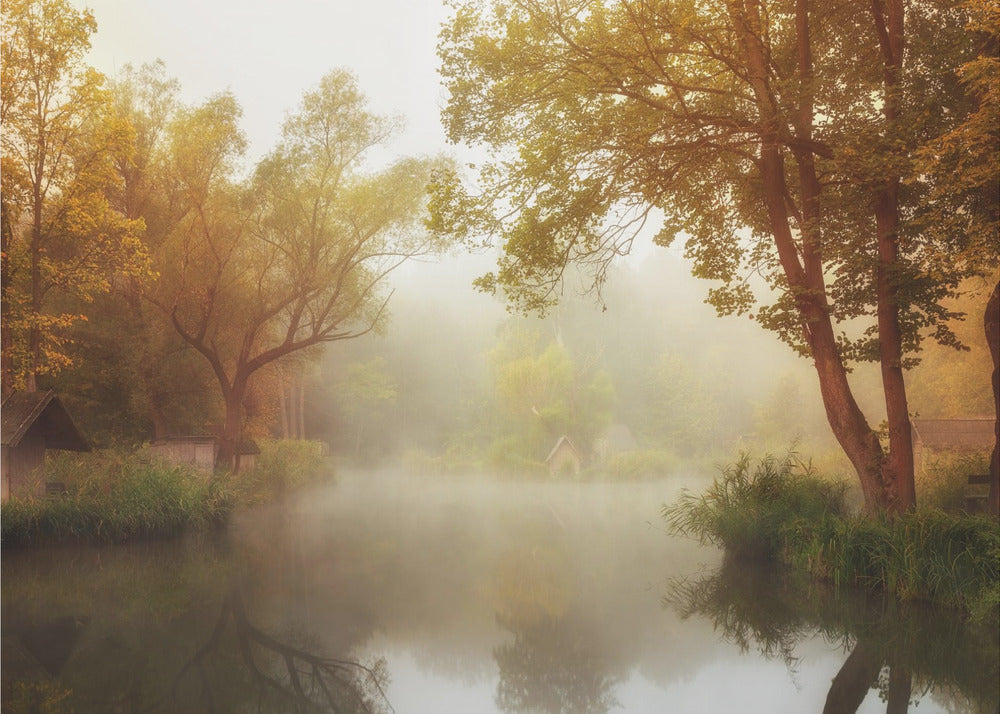 Foggy Autumn | Wallpaper