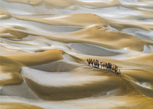 Desert Winter | Wallpaper