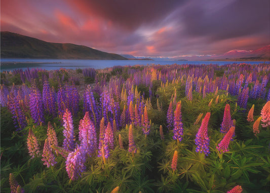 Springtime Rush | Canvas