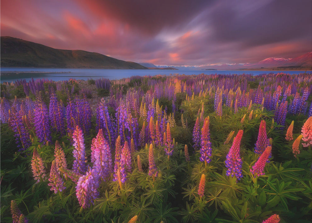 Springtime Rush | Wallpaper