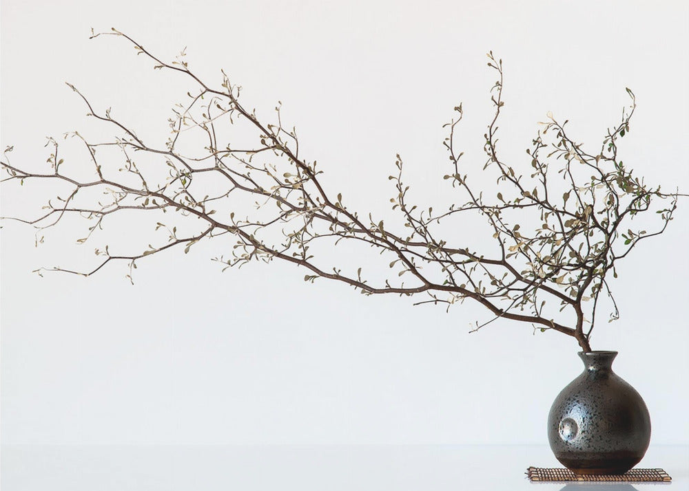 Vase And Branch | Canvas