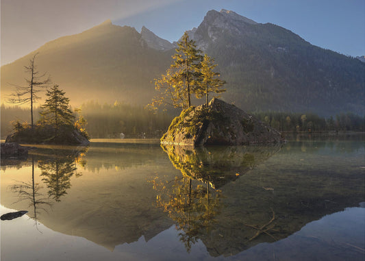 Golden Morning | Canvas