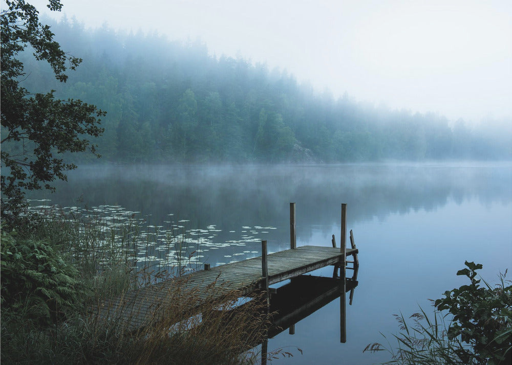 Moody morning | Poster