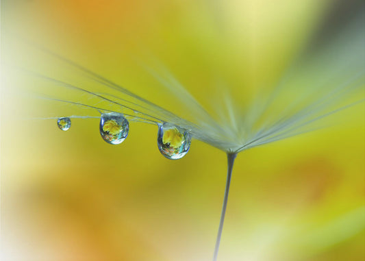 SunBeam...III | Wallpaper