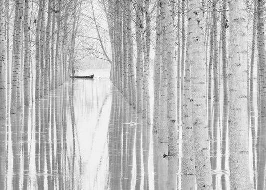 Free movement | Canvas