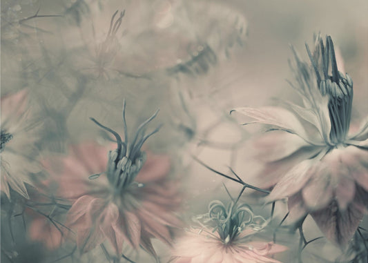 The virgins ll | Canvas