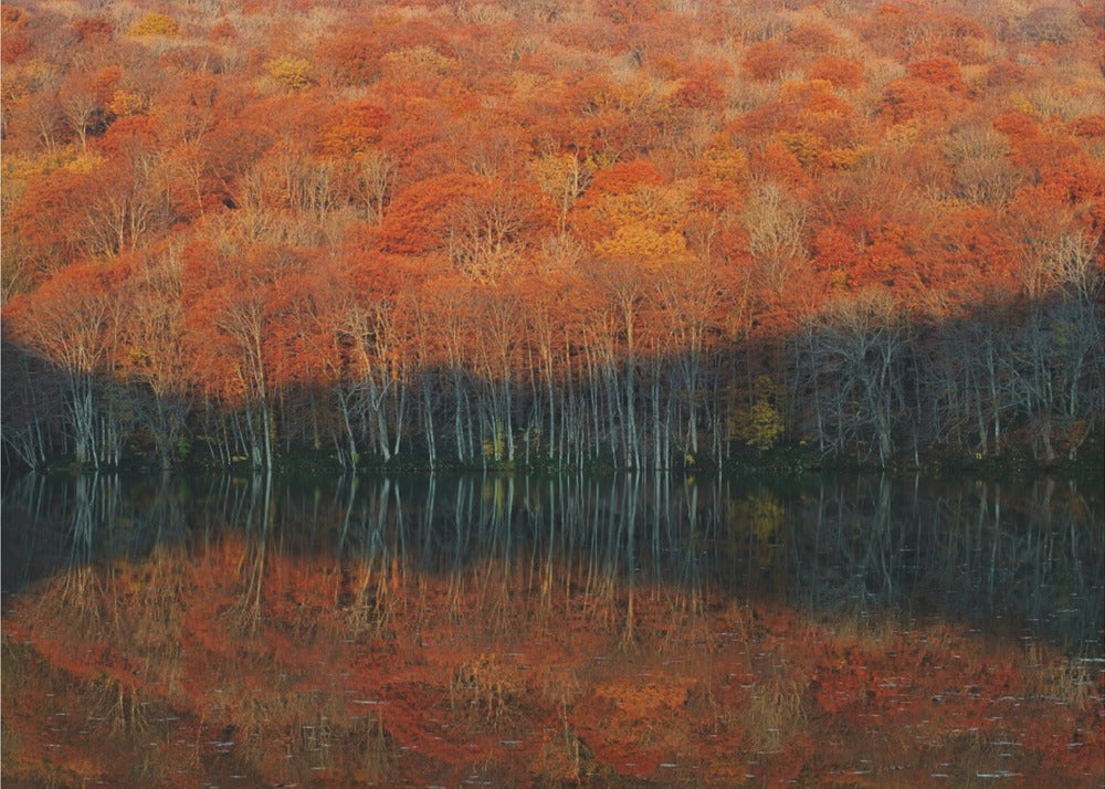 shadow fade away | Canvas