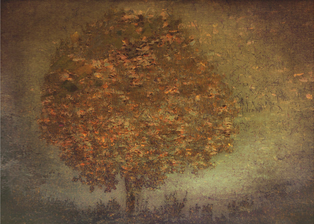 Autumn Tree | Poster