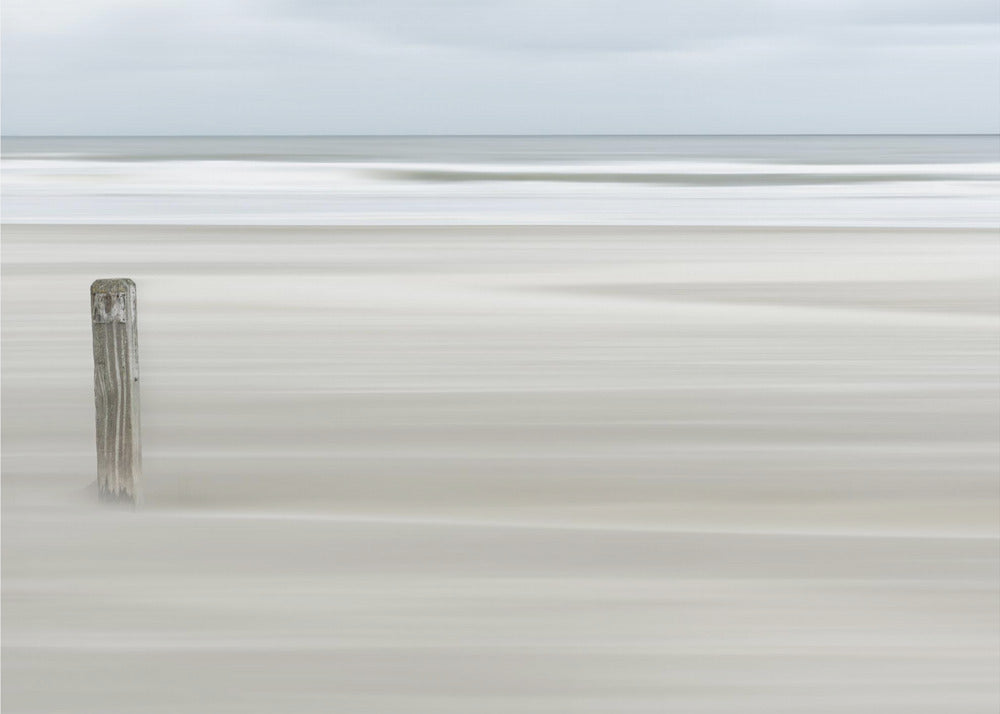 Steadvast | Wallpaper