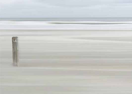 Steadvast | Wallpaper