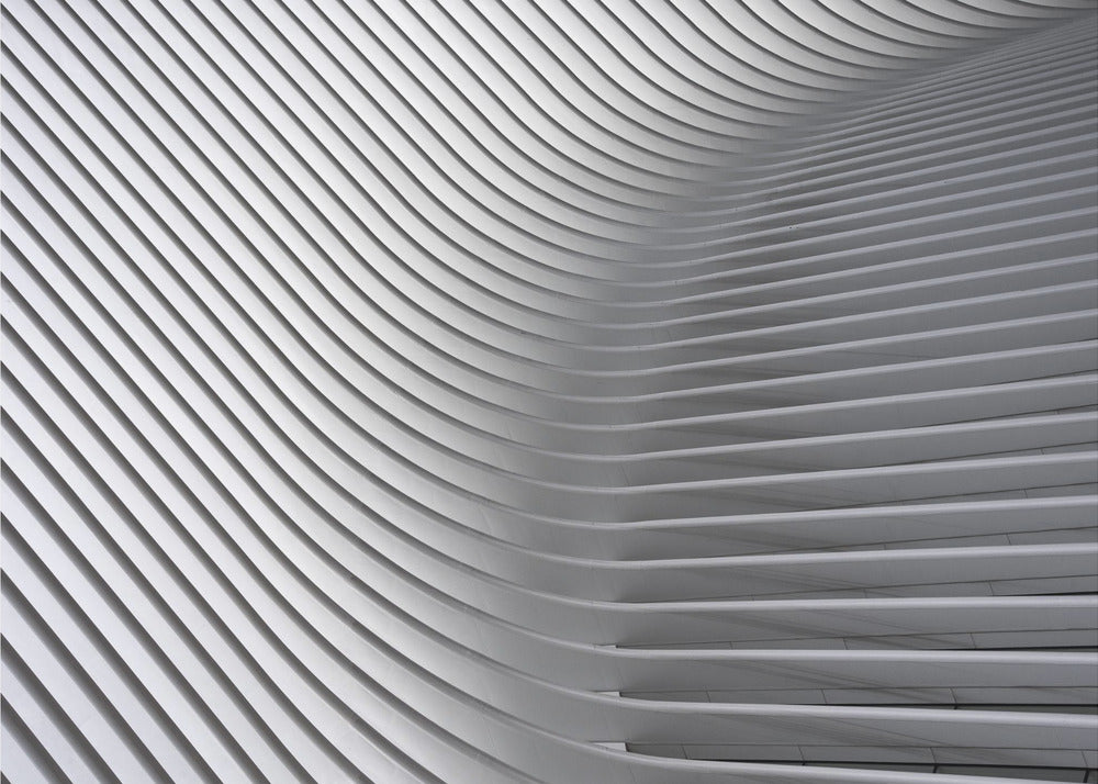 Calatrava Curves # 2 | Canvas