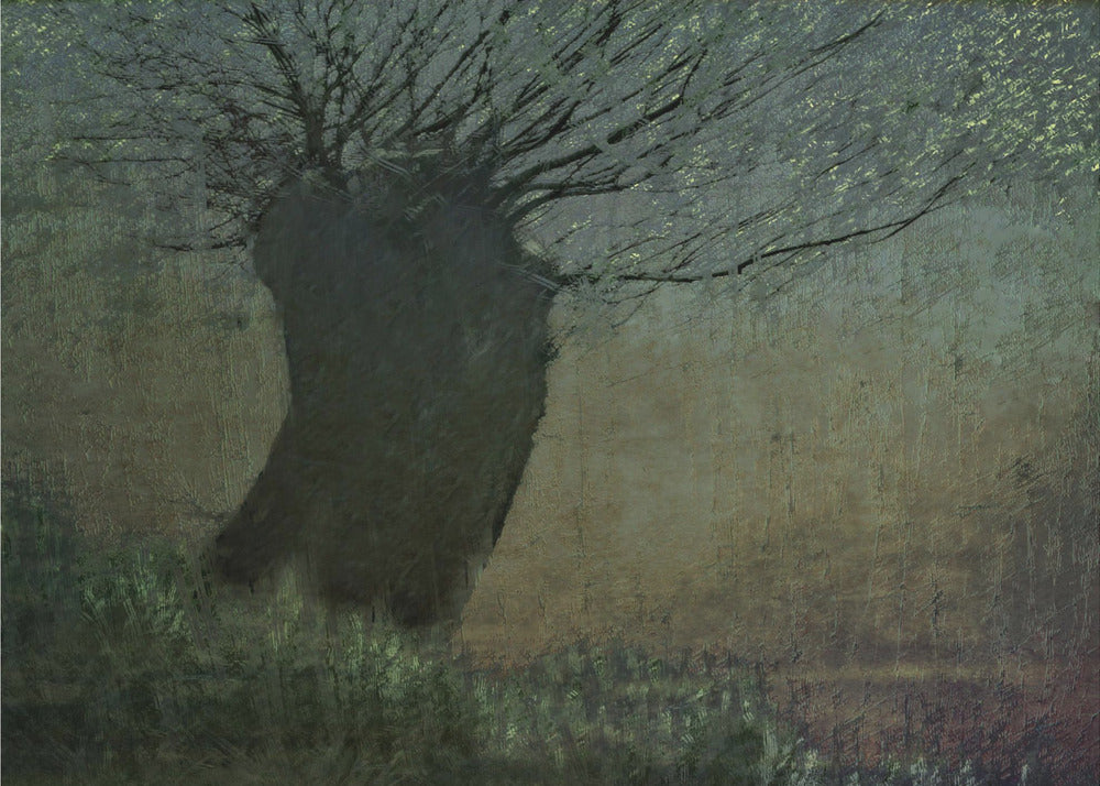 Willow on the waterfront | Poster