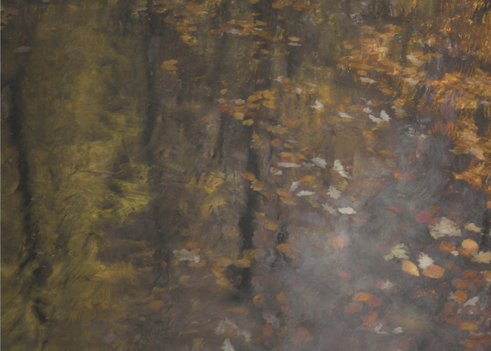 Autumn impression | Poster