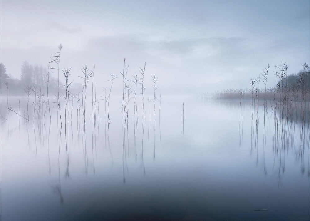 Untitled | Wallpaper