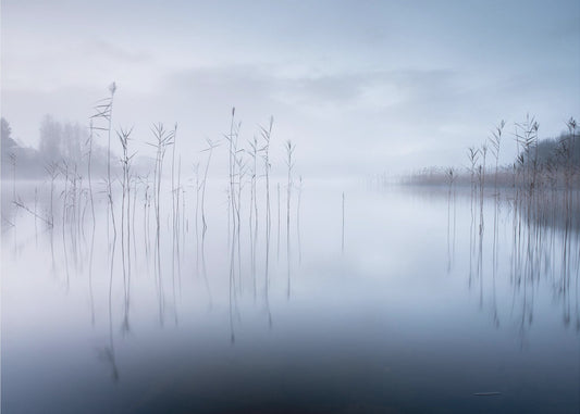 Untitled | Wallpaper