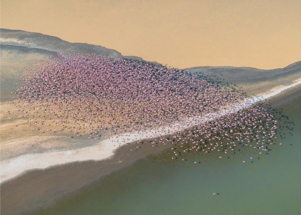 Gone with the Wind | Canvas