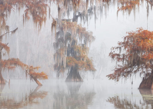 Mysty Bayou | Canvas