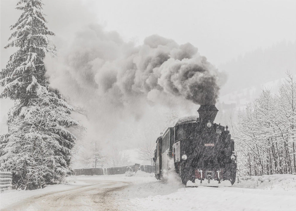 Winter story | Poster