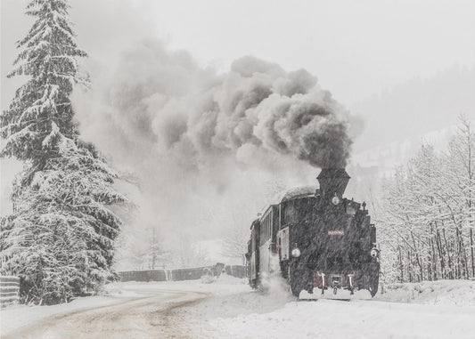 Winter story | Canvas