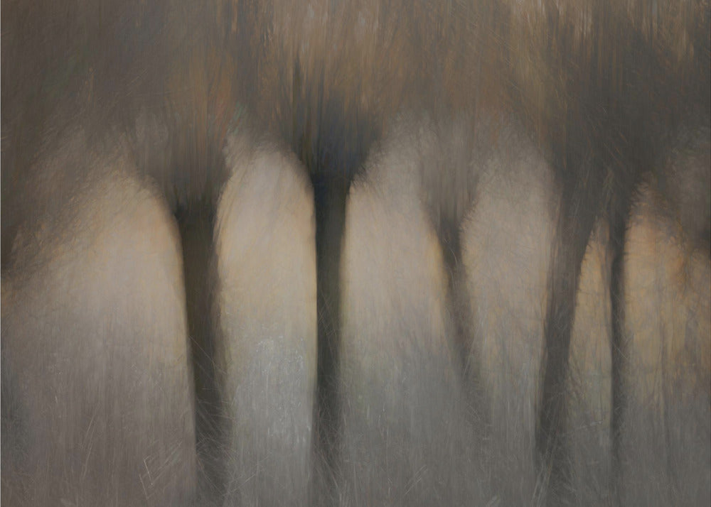 Pollard willows | Poster