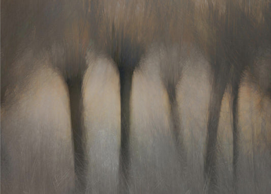 Pollard willows | Poster